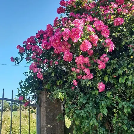 Hébergement de vacances Le Clos D'anténor Fresville